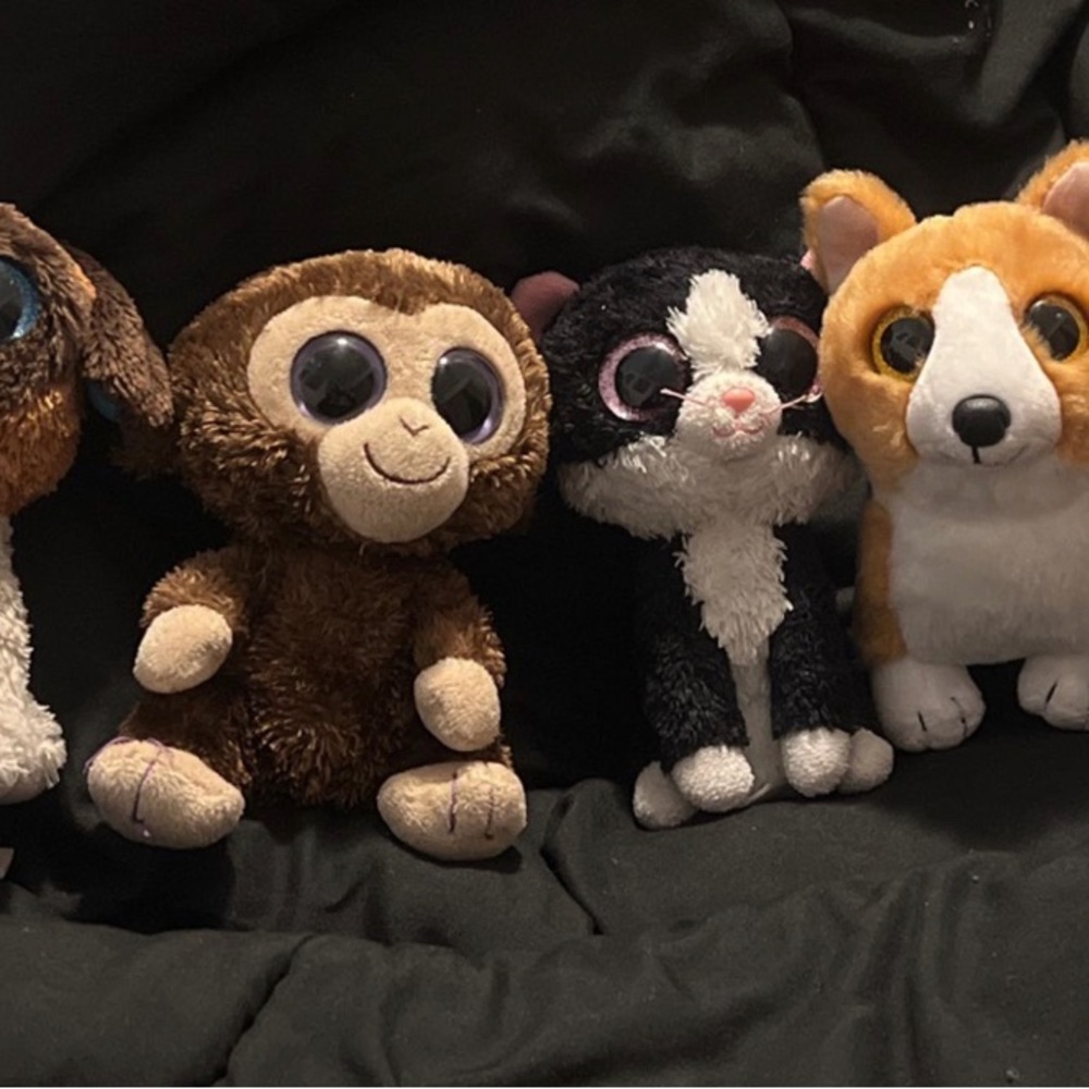 TY beanies - Picture 3 of 4